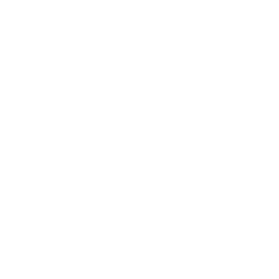 Logo Fundacja Pro Imago